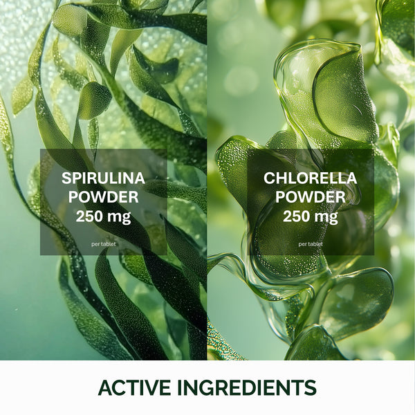 Spirulina ve Chlorella