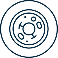 السلامة الميكروبيولوجية